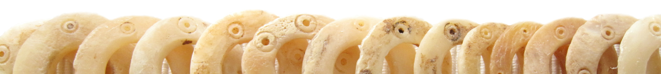 Precolumbiaanse schelp - Kleurrijke Wereld Sieraden uitsnede 